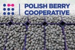 Polish Berry Cooperative wprowadza nową markę borówek ‘Berry Good’